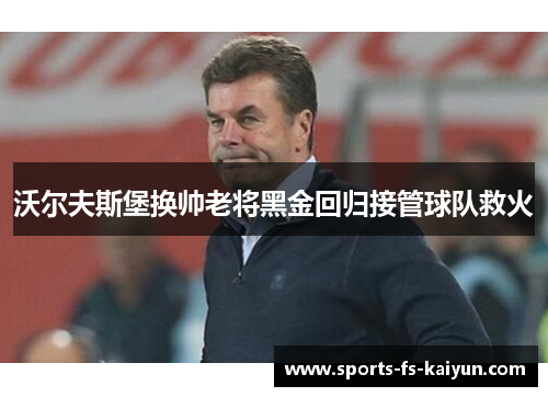 沃尔夫斯堡换帅老将黑金回归接管球队救火