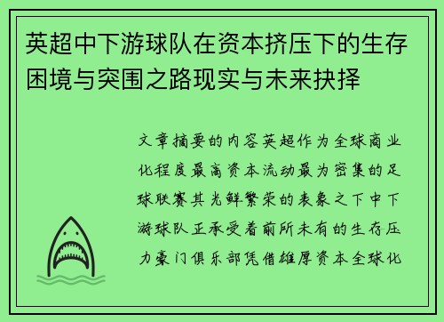 英超中下游球队在资本挤压下的生存困境与突围之路现实与未来抉择